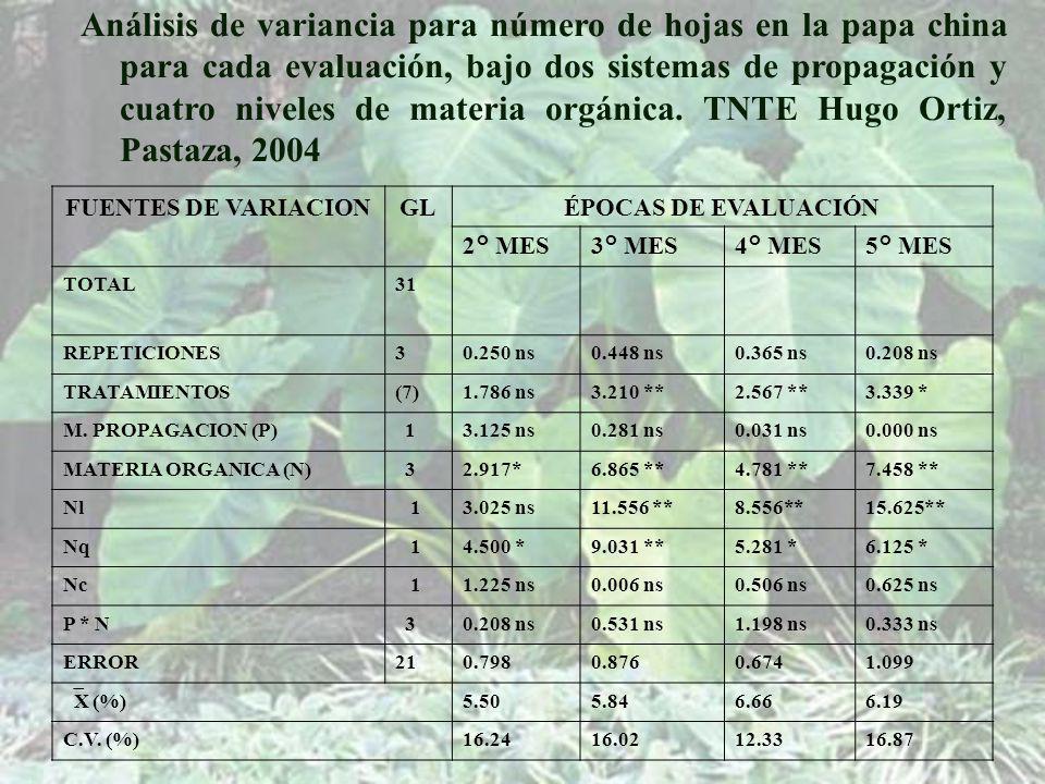 Análisis de variancia para número de hojas en la papa china para cada evaluación, bajo dos sistemas de propagación y cuatro niveles de materia orgánica. TNTE Hugo Ortiz, Pastaza, 2004