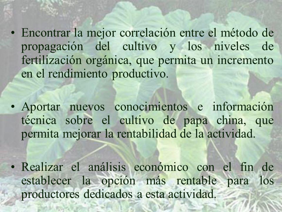 Encontrar la mejor correlación entre el método de propagación del cultivo y los niveles de fertilización orgánica, que permita un incremento en el rendimiento productivo.