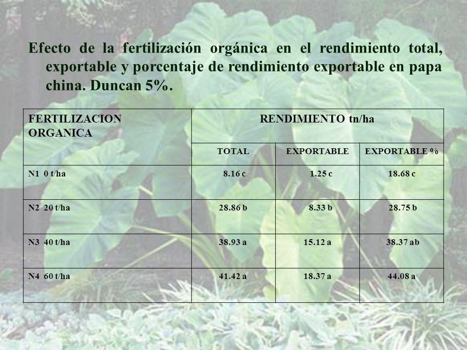 Efecto de la fertilización orgánica en el rendimiento total, exportable y porcentaje de rendimiento exportable en papa china. Duncan 5%.