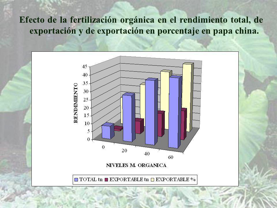 Efecto de la fertilización orgánica en el rendimiento total, de exportación y de exportación en porcentaje en papa china.