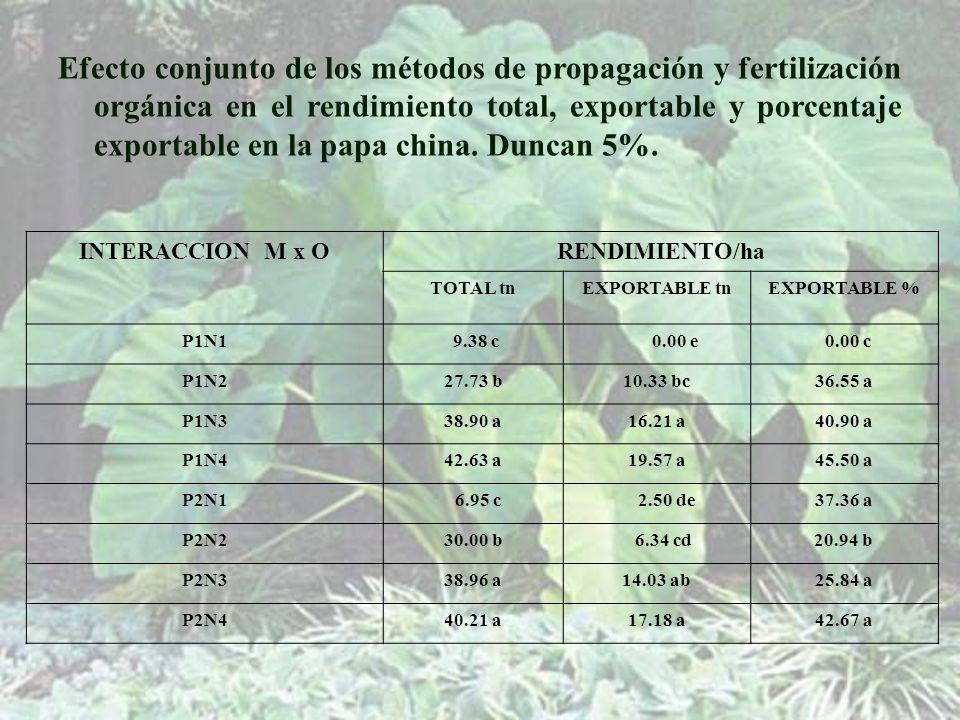 Efecto conjunto de los métodos de propagación y fertilización orgánica en el rendimiento total, exportable y porcentaje exportable en la papa china. Duncan 5%.