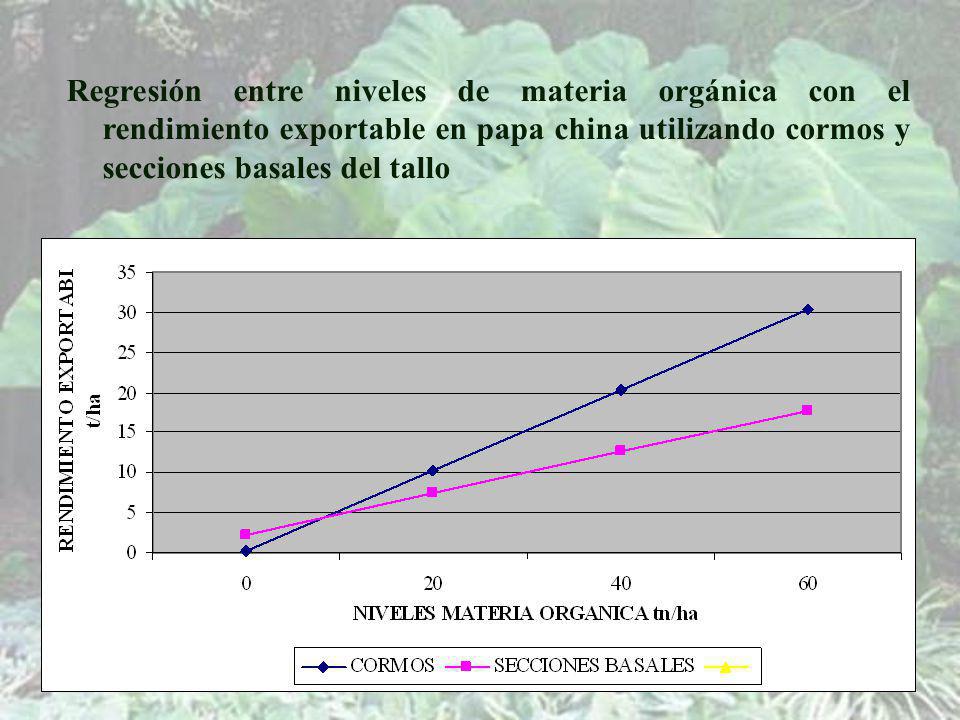 Regresión entre niveles de materia orgánica con el rendimiento exportable en papa china utilizando cormos y secciones basales del tallo