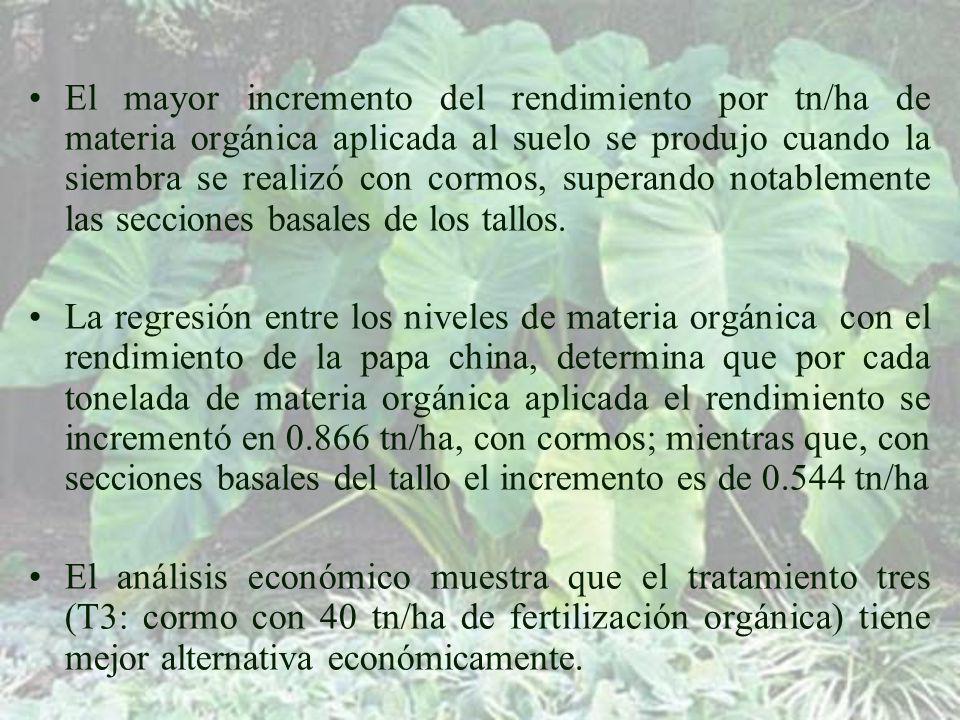 El mayor incremento del rendimiento por tn/ha de materia orgánica aplicada al suelo se produjo cuando la siembra se realizó con cormos, superando notablemente las secciones basales de los tallos.