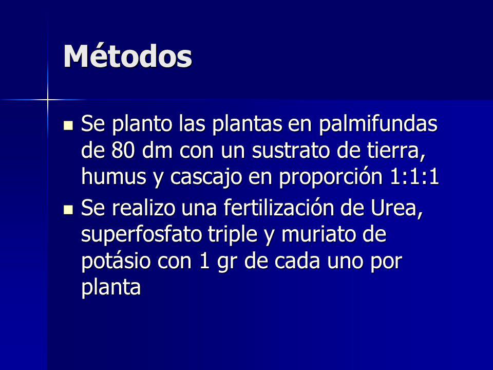 Métodos Se planto las plantas en palmifundas de 80 dm con un sustrato de tierra, humus y cascajo en proporción 1:1:1.