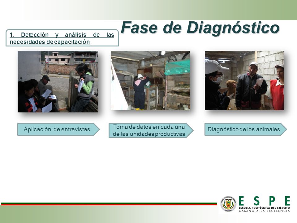 Fase de Diagnóstico 1. Detección y análisis de las necesidades de capacitación. Aplicación de entrevistas.