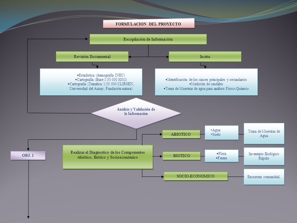 FORMULACION DEL PROYECTO Análisis y Validación de la Información