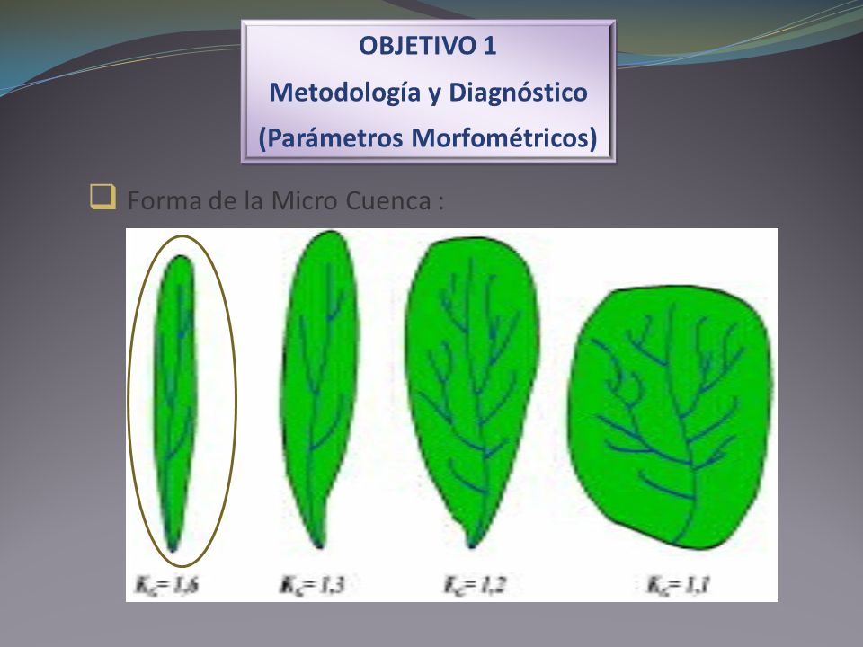 Forma de la Micro Cuenca :