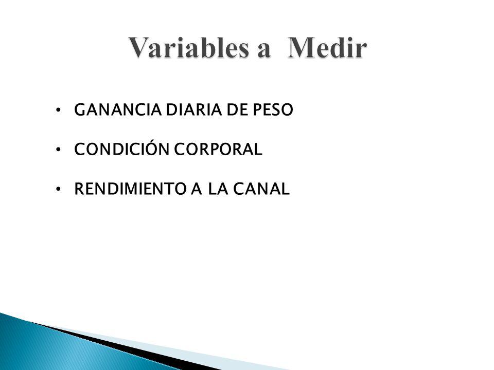 Variables a Medir GANANCIA DIARIA DE PESO CONDICIÓN CORPORAL