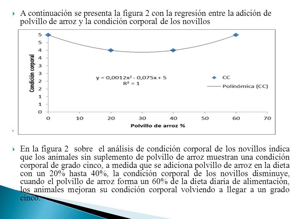 A continuación se presenta la figura 2 con la regresión entre la adición de polvillo de arroz y la condición corporal de los novillos