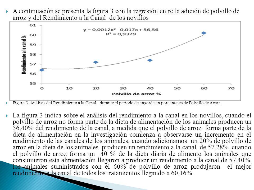 A continuación se presenta la figura 3 con la regresión entre la adición de polvillo de arroz y del Rendimiento a la Canal de los novillos