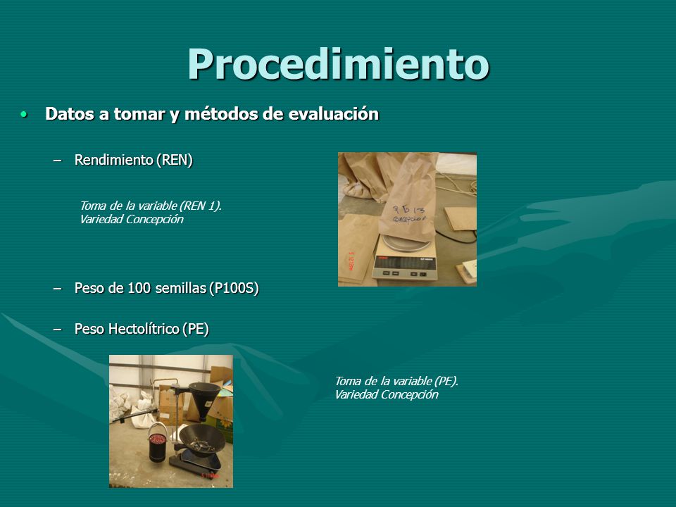 Procedimiento Datos a tomar y métodos de evaluación Rendimiento (REN)