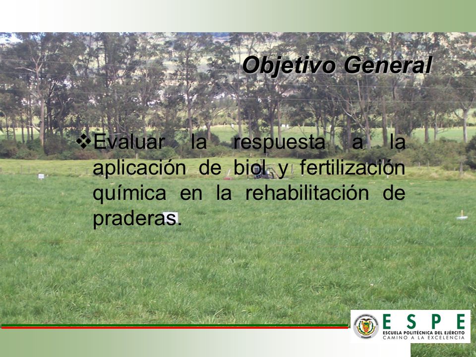 Objetivo General Evaluar la respuesta a la aplicación de biol y fertilización química en la rehabilitación de praderas.