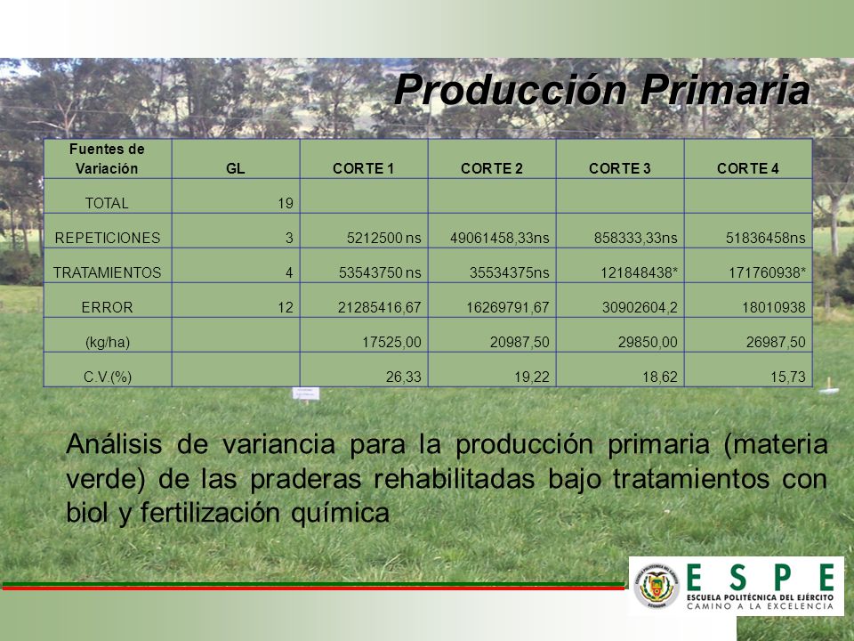 Producción Primaria Fuentes de Variación. GL. CORTE 1. CORTE 2. CORTE 3. CORTE 4. TOTAL. 19.