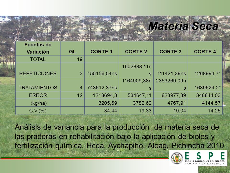 Materia Seca Fuentes de Variación. GL. CORTE 1. CORTE 2. CORTE 3. CORTE 4. TOTAL. 19. REPETICIONES.
