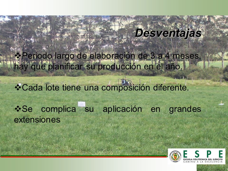 Desventajas Periodo largo de elaboración de 3 a 4 meses, hay que planificar su producción en el año.
