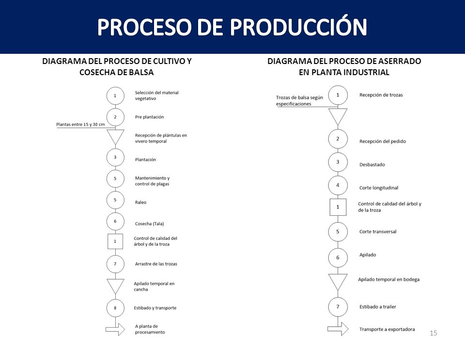 DIAGRAMA DEL PROCESO DE CULTIVO Y DIAGRAMA DEL PROCESO DE ASERRADO