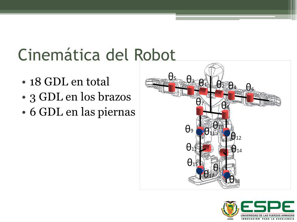 Cinemática del Robot 18 GDL en total 3 GDL en los brazos