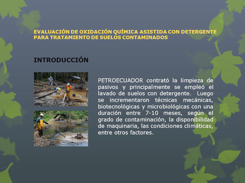 EVALUACIÓN DE OXIDACIÓN QUÍMICA ASISTIDA CON DETERGENTE PARA TRATAMIENTO DE SUELOS CONTAMINADOS