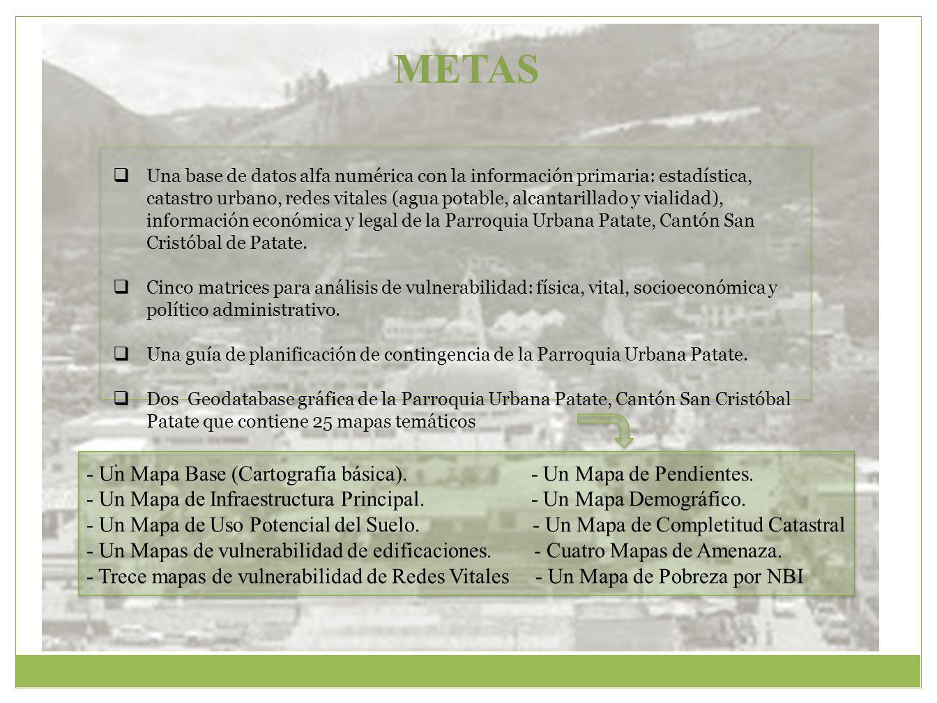 METAS . - Un Mapa Base (Cartografía básica). - Un Mapa de Pendientes.