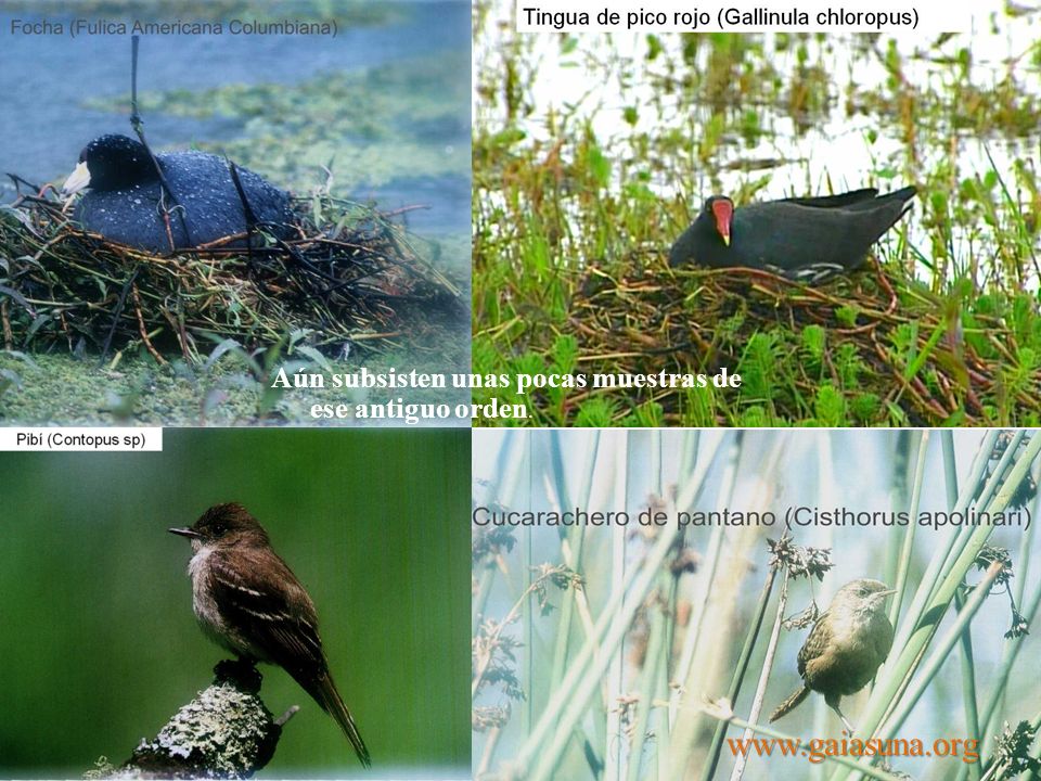Aún subsisten unas pocas muestras de ese antiguo orden.