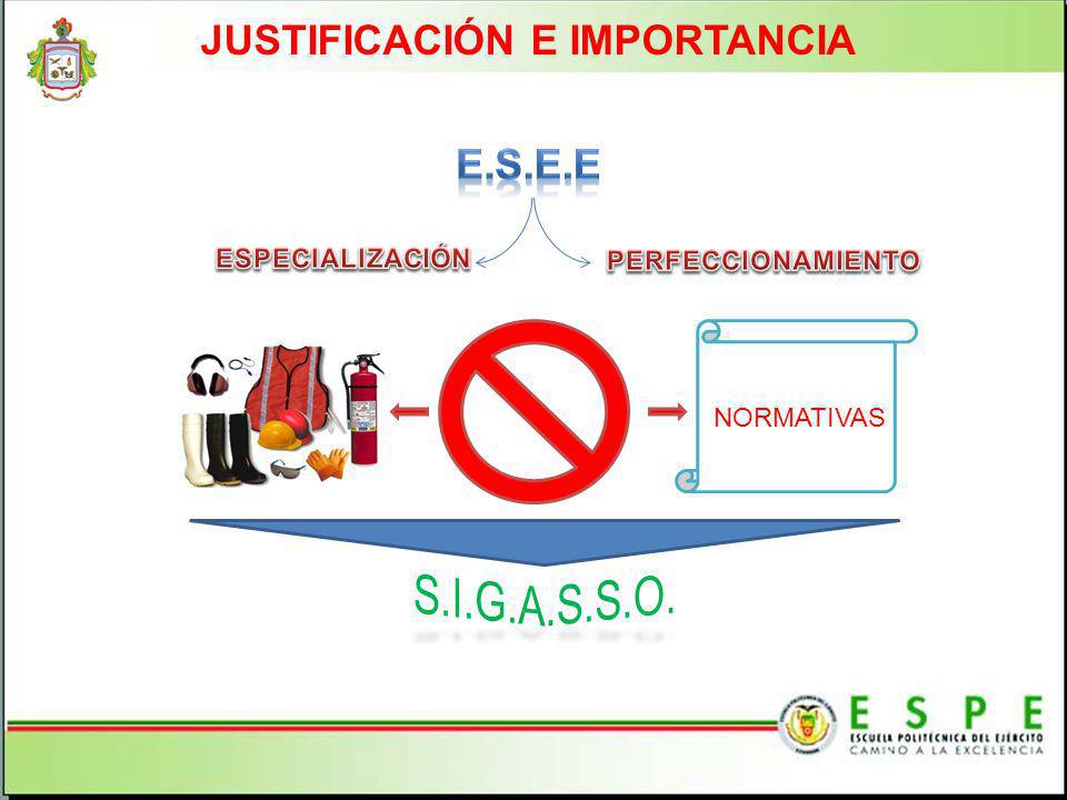 JUSTIFICACIÓN E IMPORTANCIA