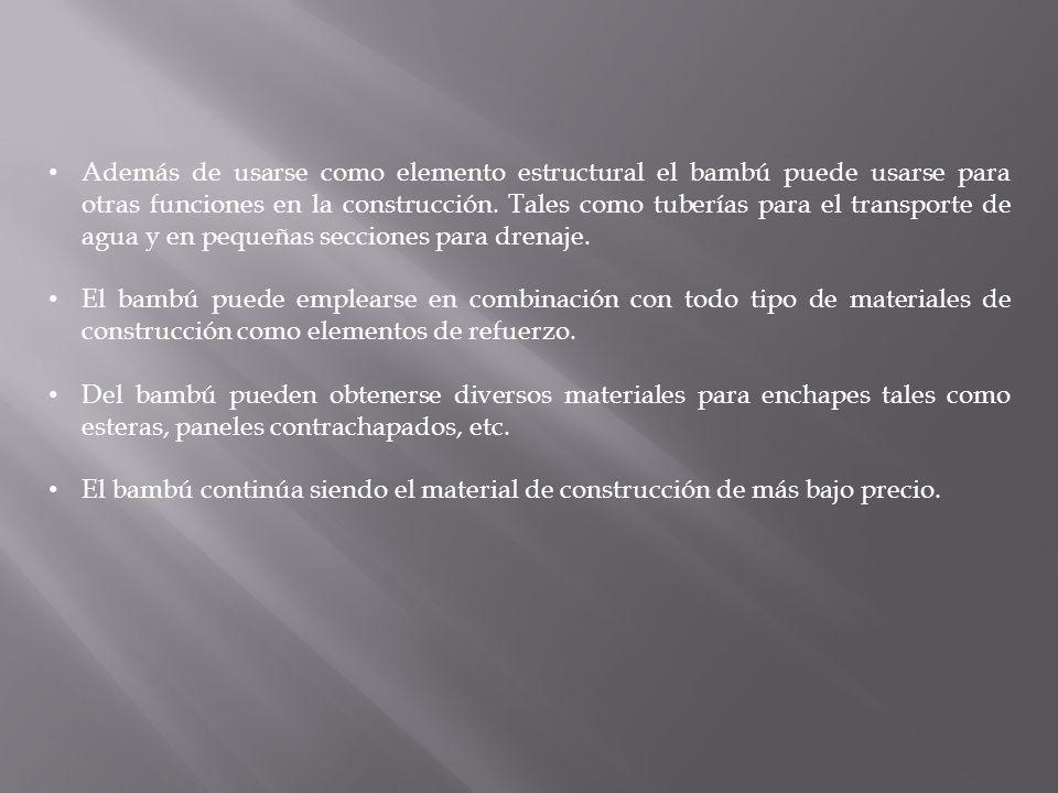Además de usarse como elemento estructural el bambú puede usarse para otras funciones en la construcción. Tales como tuberías para el transporte de agua y en pequeñas secciones para drenaje.