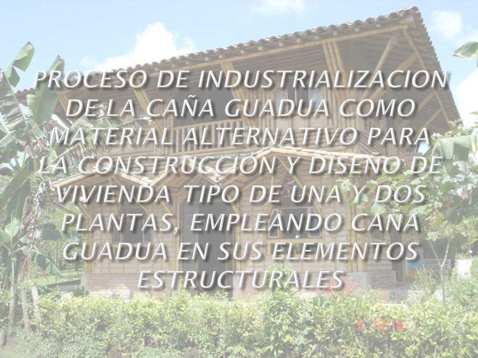 PROCESO DE INDUSTRIALIZACION DE LA CAÑA GUADUA COMO MATERIAL ALTERNATIVO PARA LA CONSTRUCCIÓN Y DISEÑO DE VIVIENDA TIPO DE UNA Y DOS PLANTAS, EMPLEANDO CAÑA GUADUA EN SUS ELEMENTOS ESTRUCTURALES