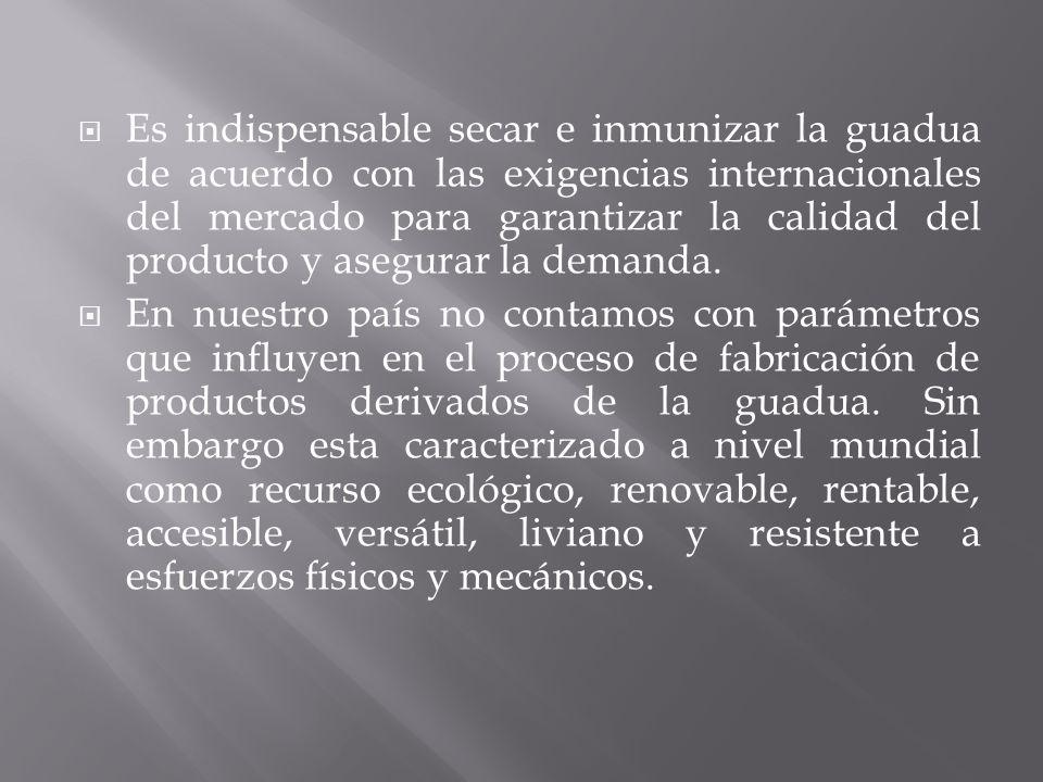 Es indispensable secar e inmunizar la guadua de acuerdo con las exigencias internacionales del mercado para garantizar la calidad del producto y asegurar la demanda.