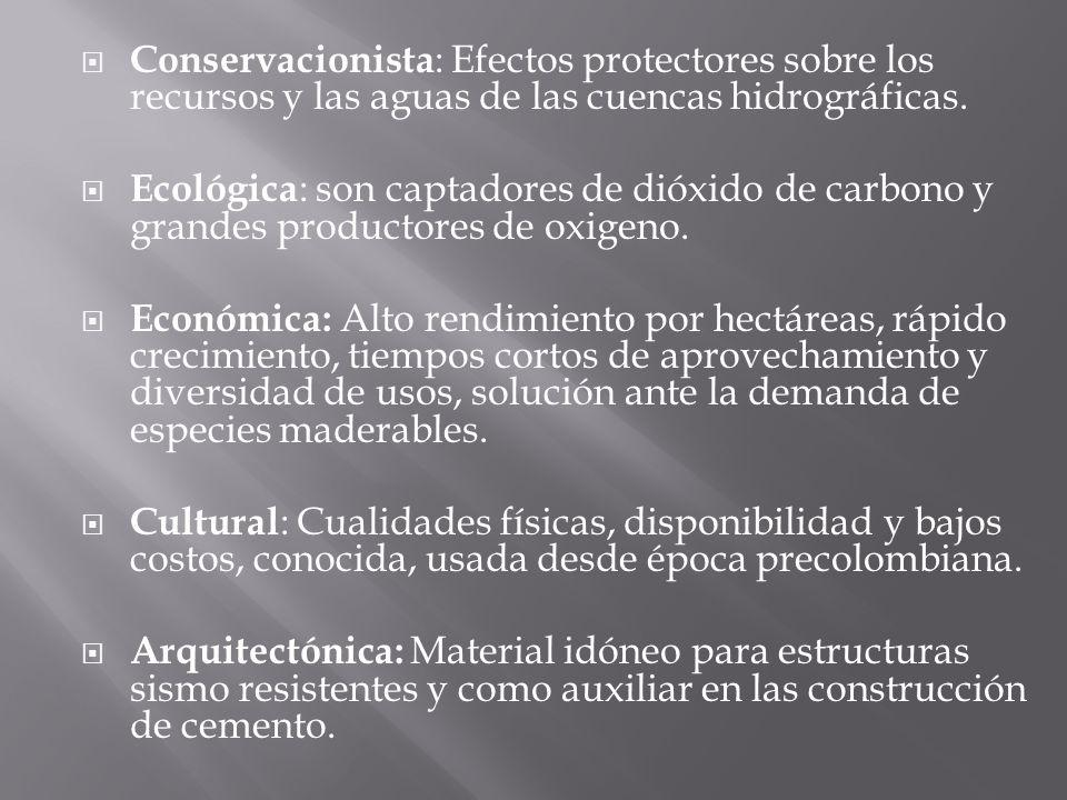 Conservacionista: Efectos protectores sobre los recursos y las aguas de las cuencas hidrográficas.