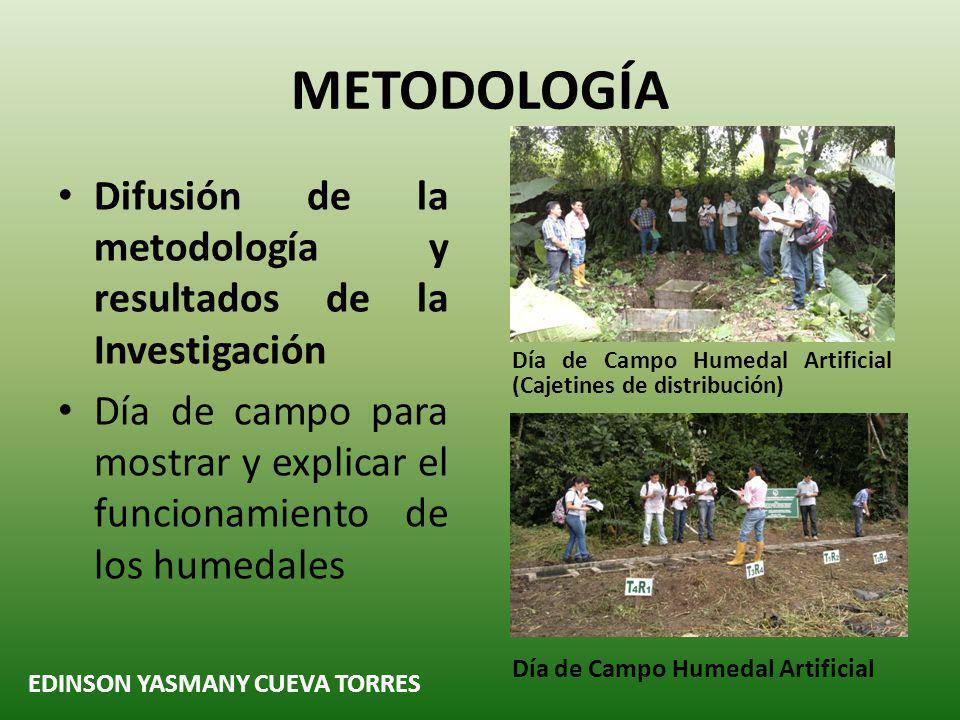 METODOLOGÍA Difusión de la metodología y resultados de la Investigación. Día de campo para mostrar y explicar el funcionamiento de los humedales.