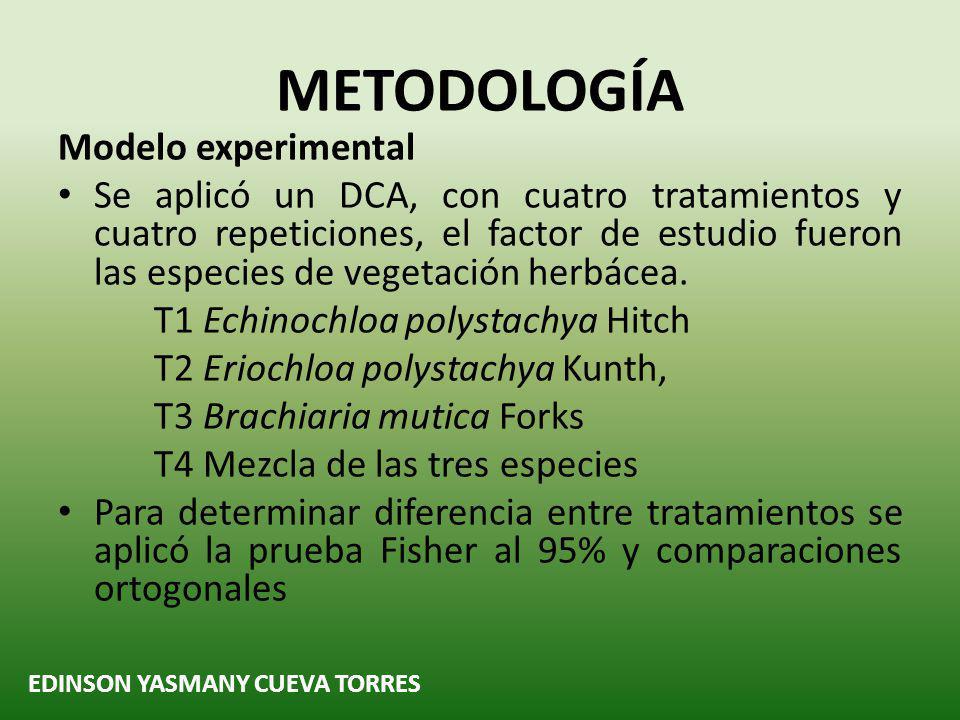 METODOLOGÍA Modelo experimental