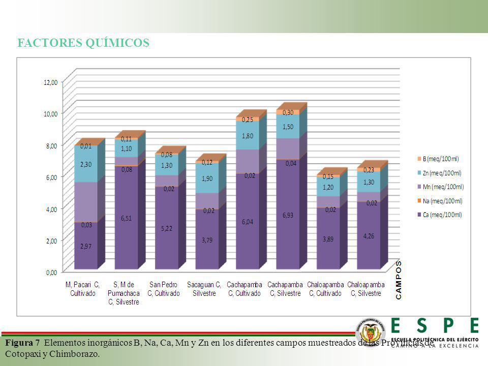 FACTORES QUÍMICOS Figura 7 Elementos inorgánicos B, Na, Ca, Mn y Zn en los diferentes campos muestreados de las Provincias de Cotopaxi y Chimborazo.