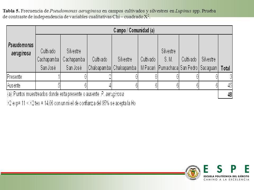 Tabla 5. Frecuencia de Pseudomonas aeruginosa en campos cultivados y silvestres en Lupinus spp.