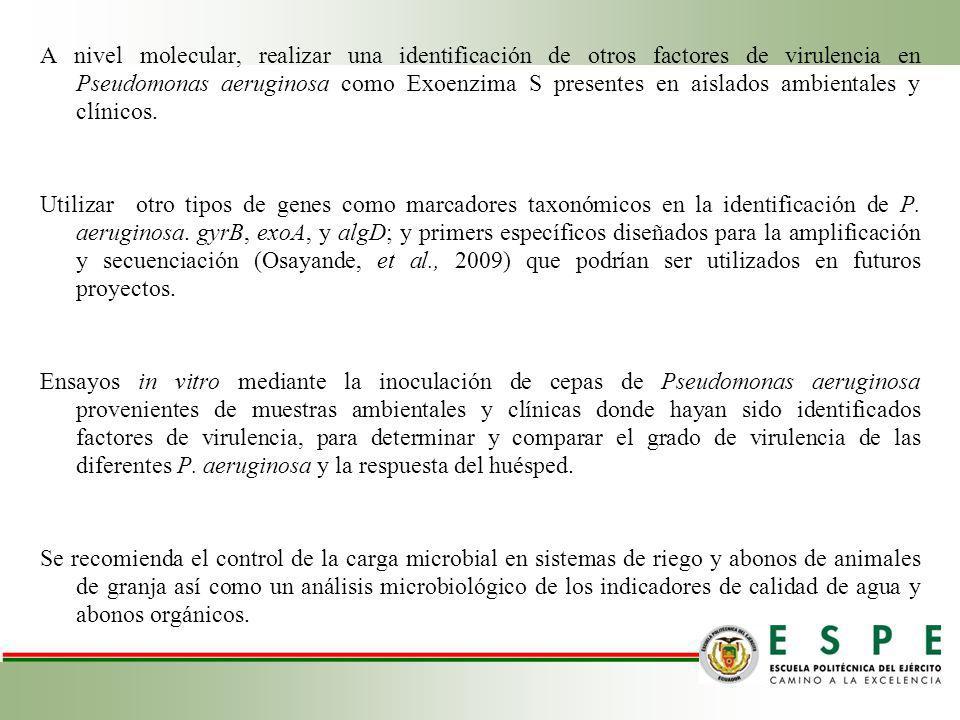 A nivel molecular, realizar una identificación de otros factores de virulencia en Pseudomonas aeruginosa como Exoenzima S presentes en aislados ambientales y clínicos.
