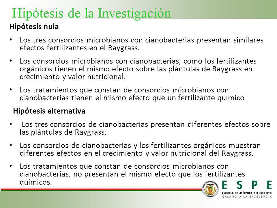 Hipótesis de la Investigación