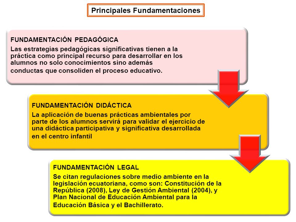 Principales Fundamentaciones