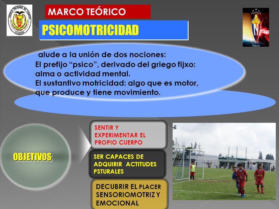 PSICOMOTRICIDAD alude a la unión de dos nociones: MARCO TEÓRICO
