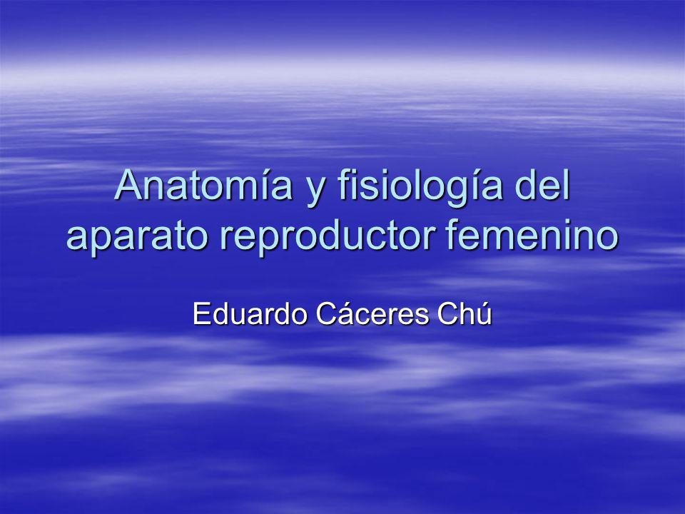 Anatomía y fisiología del aparato reproductor femenino