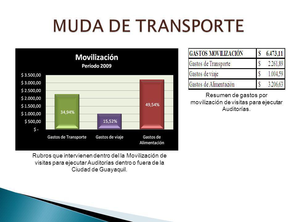 MUDA DE TRANSPORTE Resumen de gastos por movilización de visitas para ejecutar Auditorías.