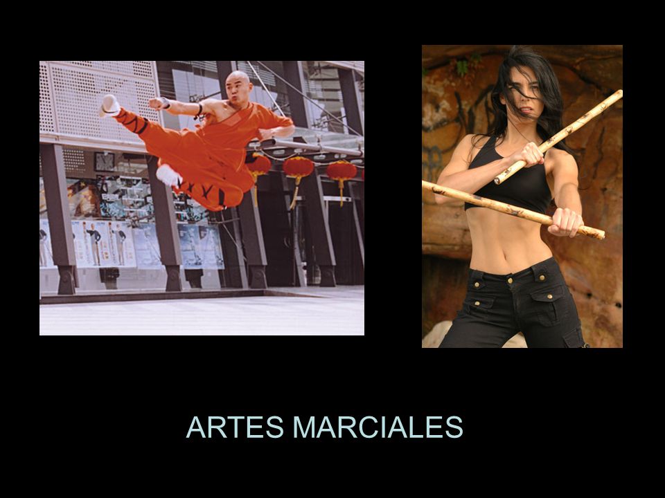 ARTES MARCIALES
