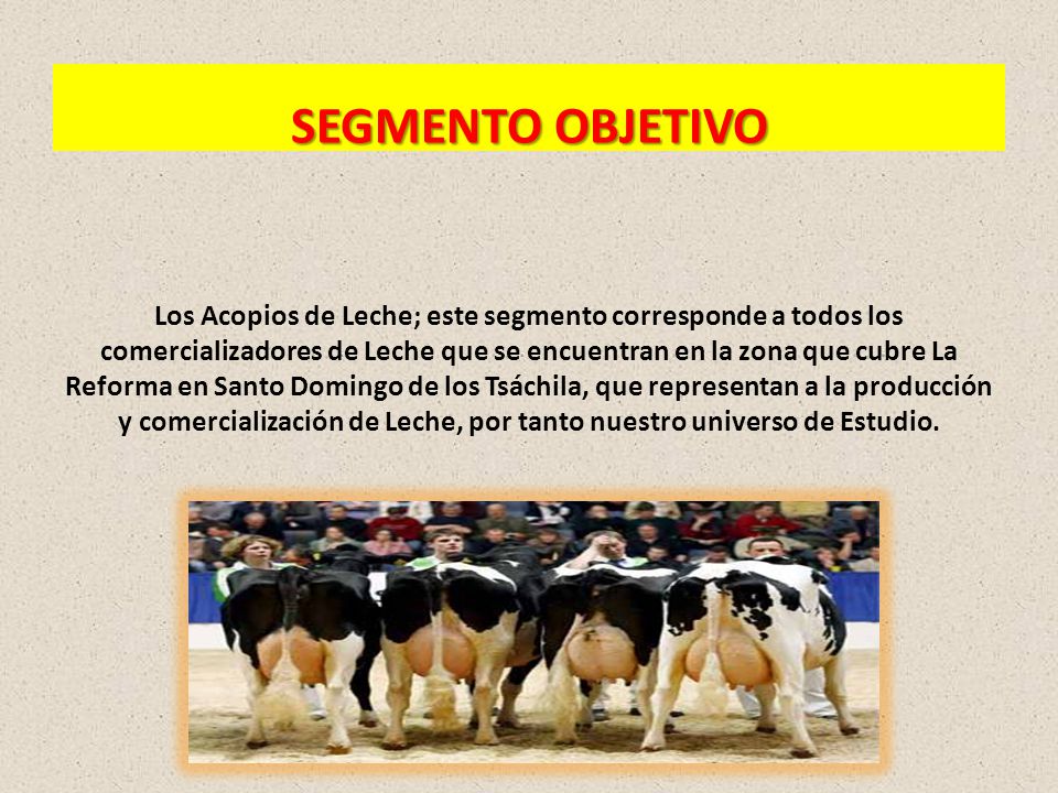 SEGMENTO OBJETIVO Los Acopios de Leche; este segmento corresponde a todos los comercializadores de Leche que se encuentran en la zona que cubre La Reforma en Santo Domingo de los Tsáchila, que representan a la producción y comercialización de Leche, por tanto nuestro universo de Estudio.