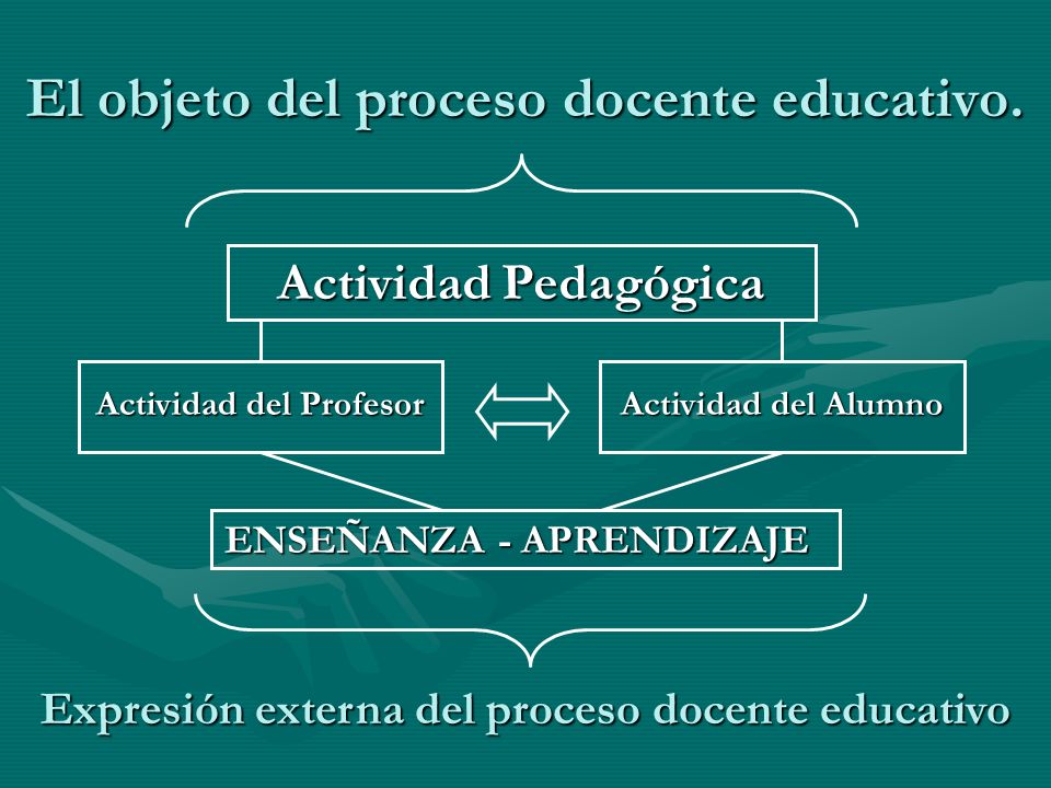 El objeto del proceso docente educativo.