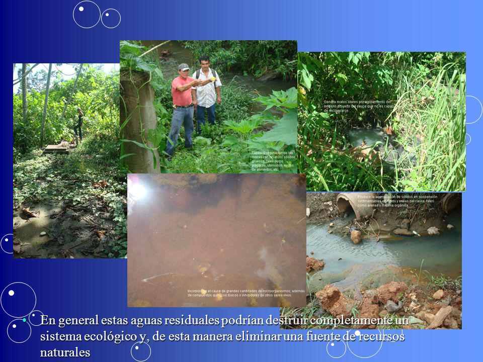 En general estas aguas residuales podrían destruir completamente un sistema ecológico y, de esta manera eliminar una fuente de recursos naturales