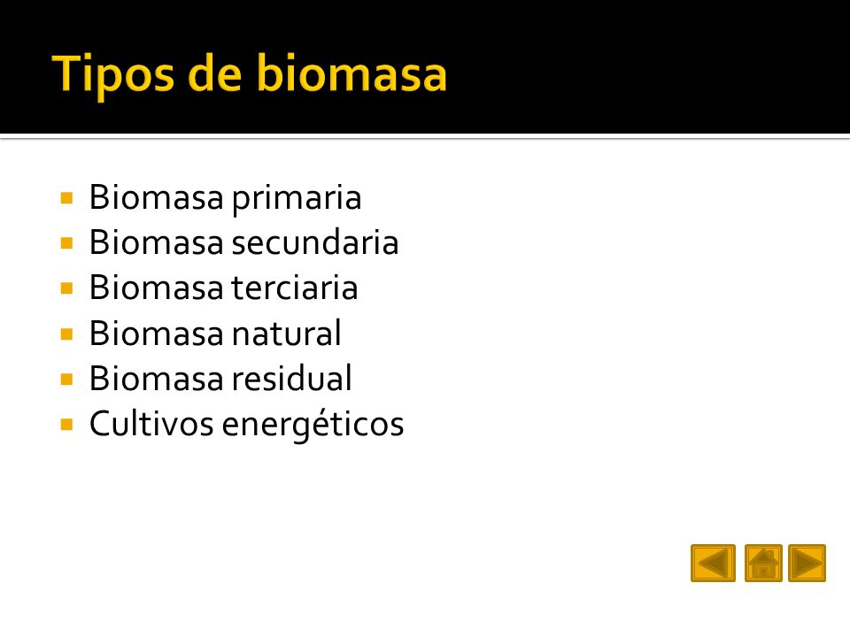 Tipos de biomasa Biomasa primaria Biomasa secundaria Biomasa terciaria