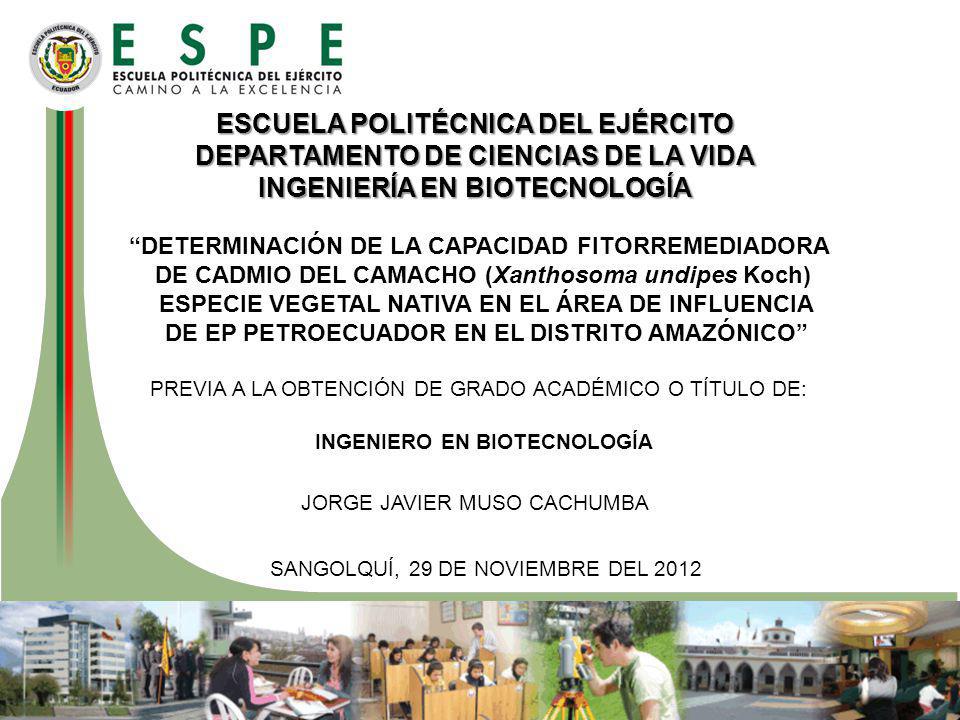 ESCUELA POLITÉCNICA DEL EJÉRCITO DEPARTAMENTO DE CIENCIAS DE LA VIDA