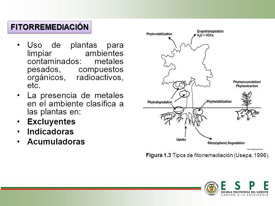 La presencia de metales en el ambiente clasifica a las plantas en: