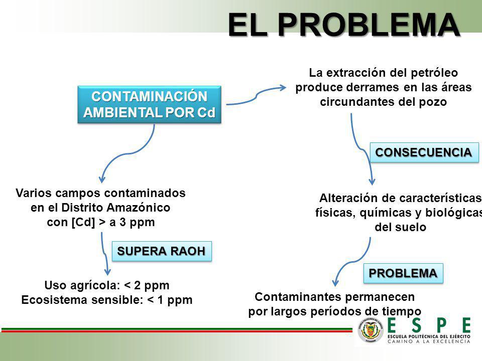 EL PROBLEMA CONTAMINACIÓN AMBIENTAL POR Cd La extracción del petróleo