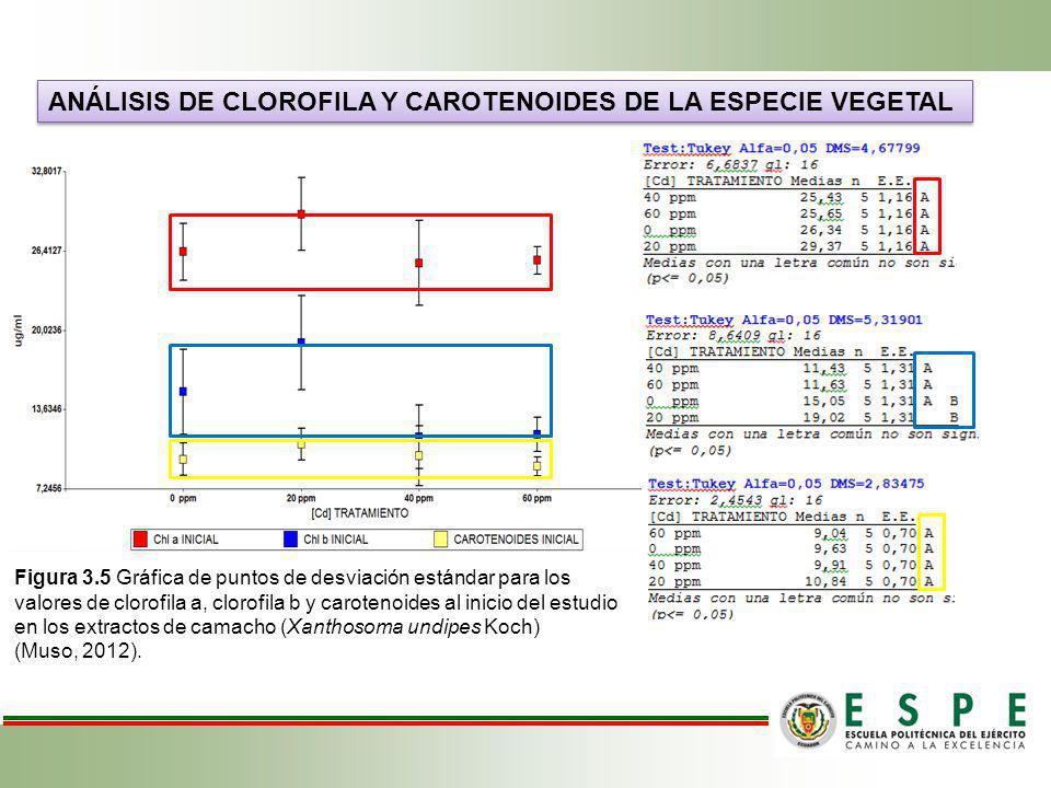 Análisis de clorofila y carotenoides de la especie vegetal
