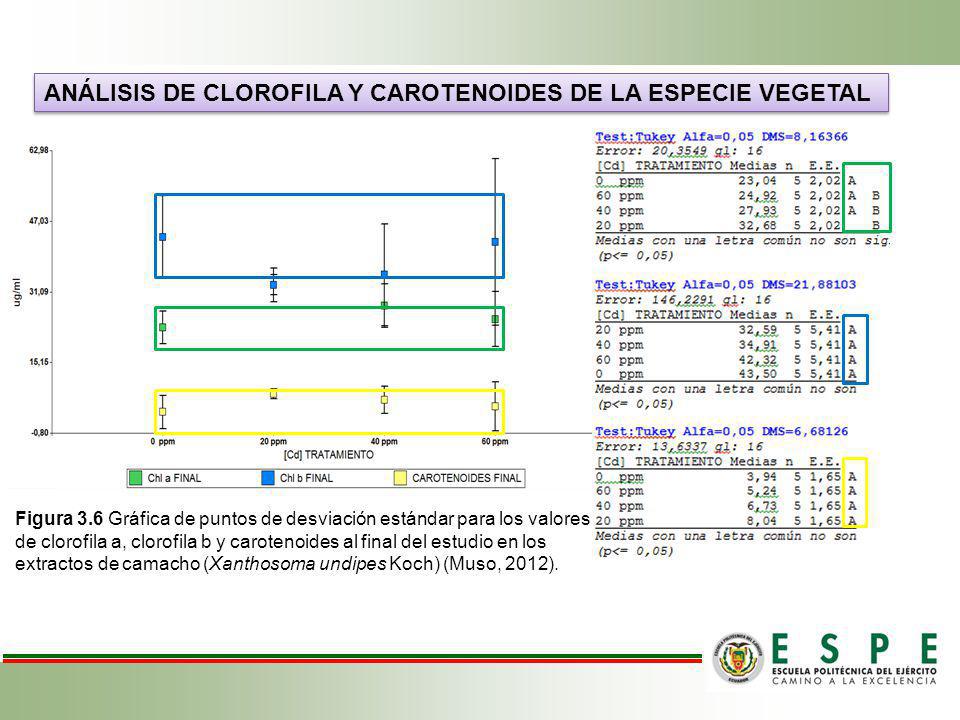 Análisis de clorofila y carotenoides de la especie vegetal