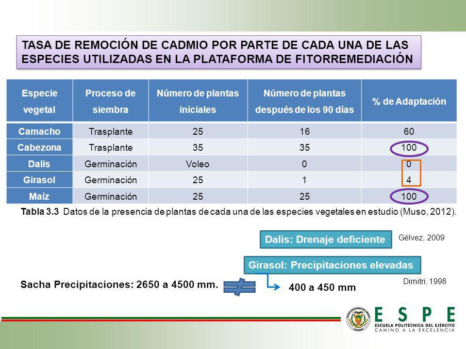 Número de plantas iniciales Número de plantas después de los 90 días